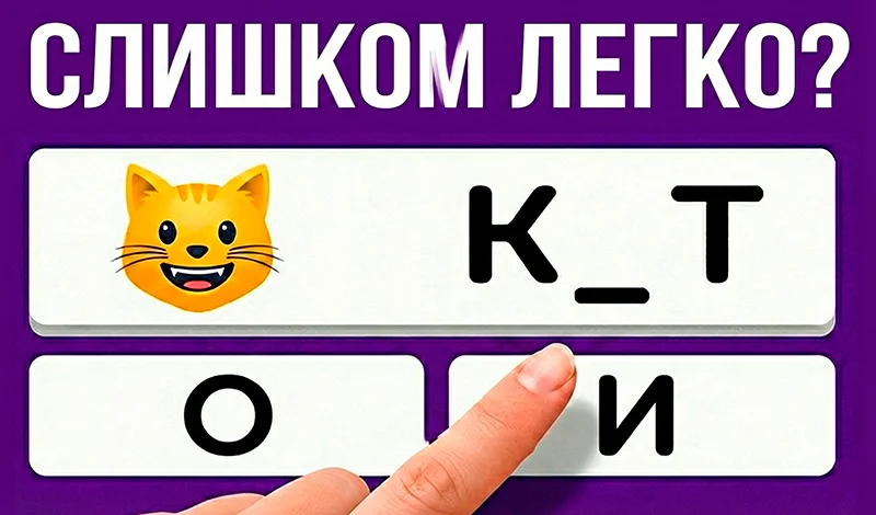 Викторина - Битва Умов